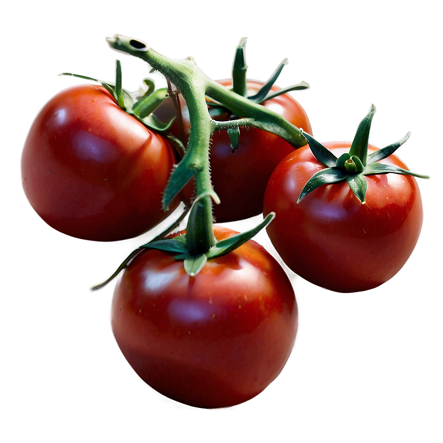 Red Tomato Png 15