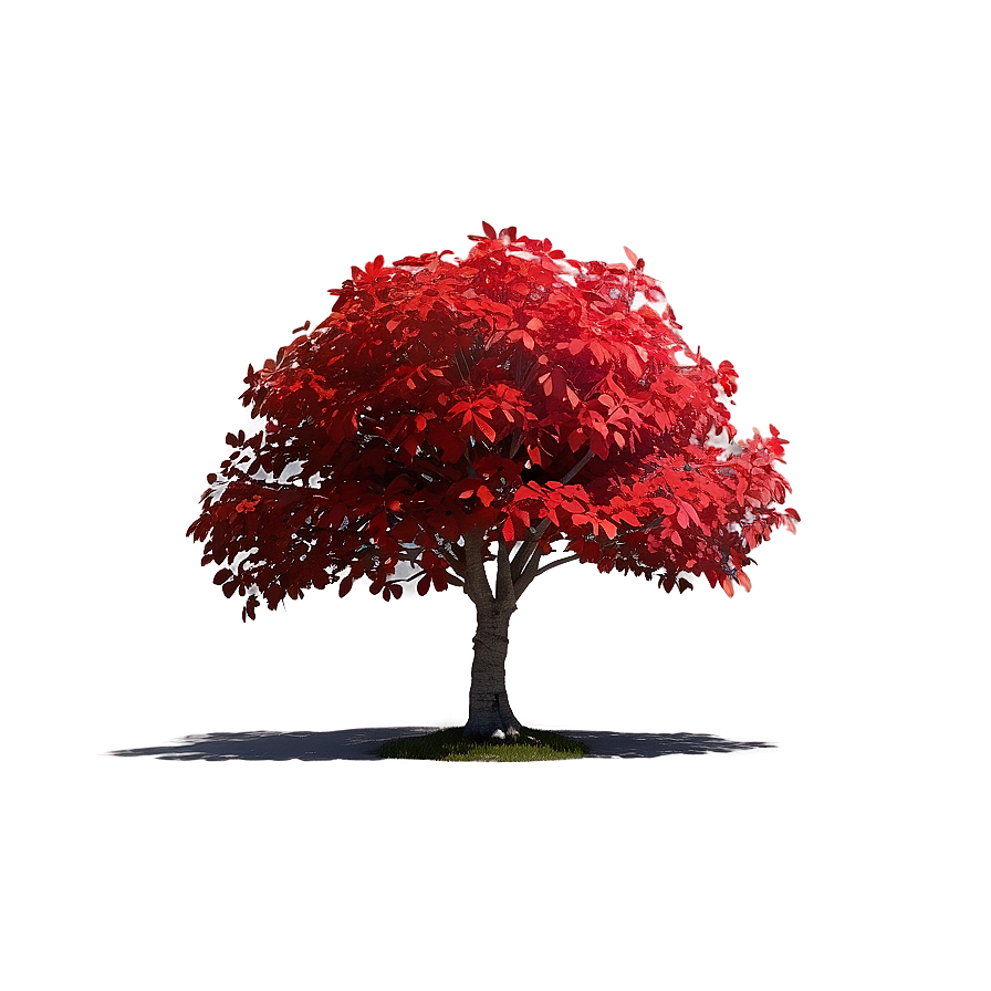 Red Tree C