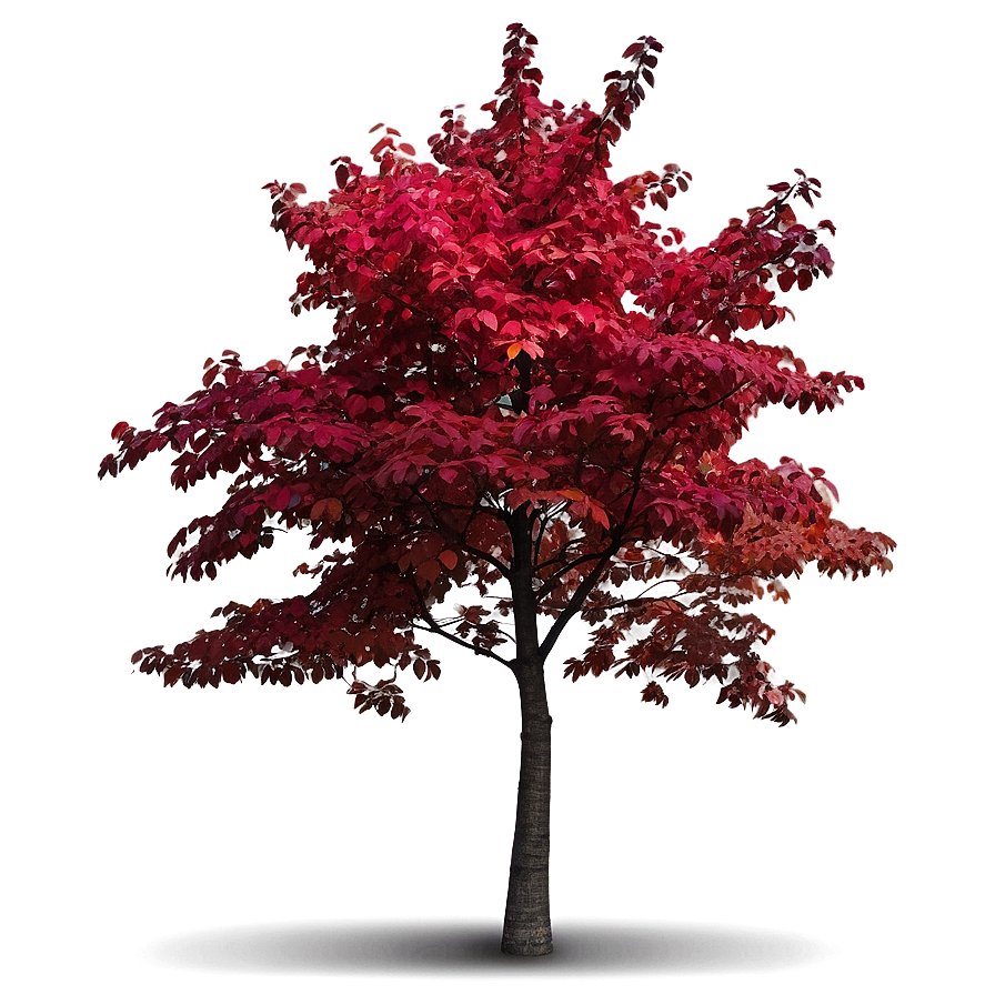 Red Tree With Colorful Background Png 22