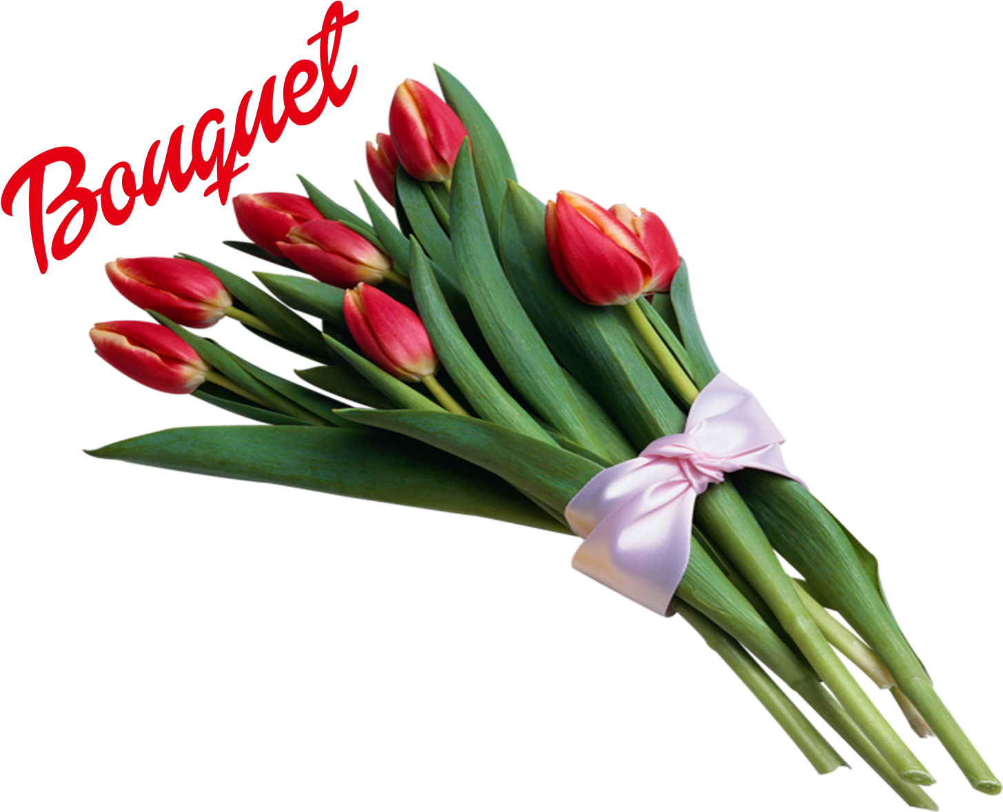 Red Tulip Bouquetwith Bow