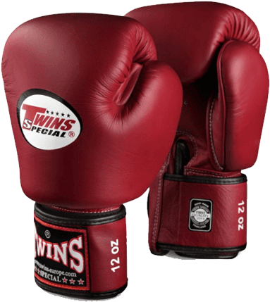Red Twins Special Boxing Gloves