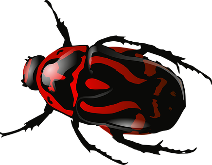 Redand Black Ladybug Illustration