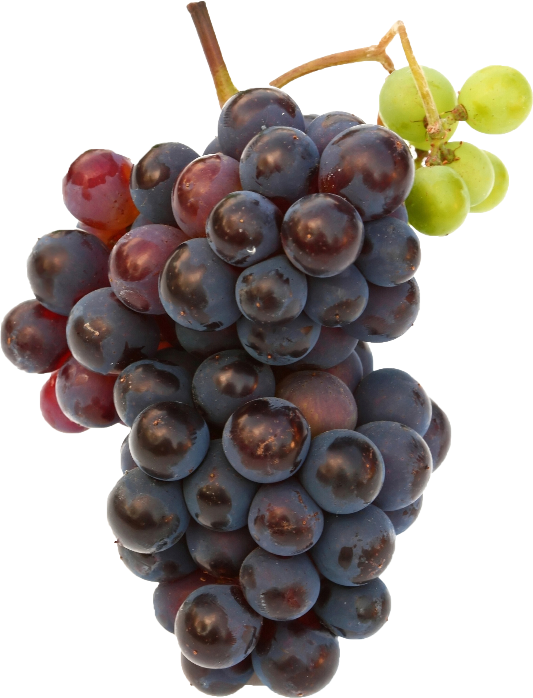 Redand Green Grapes Cluster.png