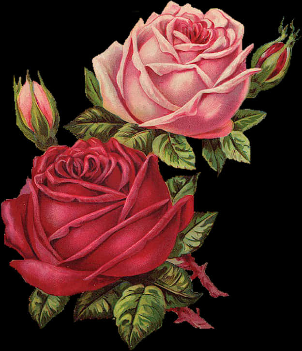 Redand Pink Roses Artwork