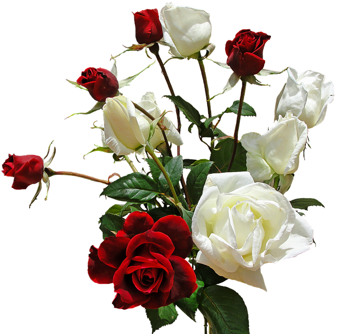 Redand White Roses Bouquet