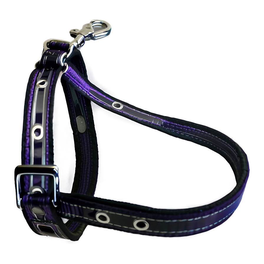 Reflective Dog Leash Png 06132024