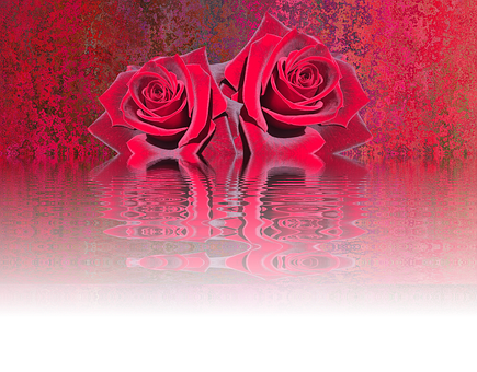 Reflective Red Roses Artwork.jpg