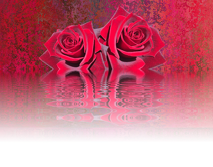 Reflective Red Roses Artwork