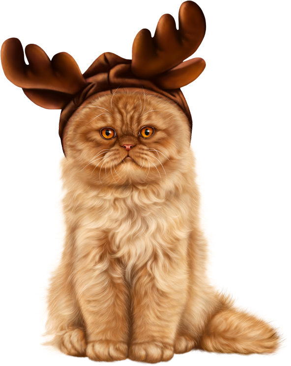 Reindeer Costume Cat