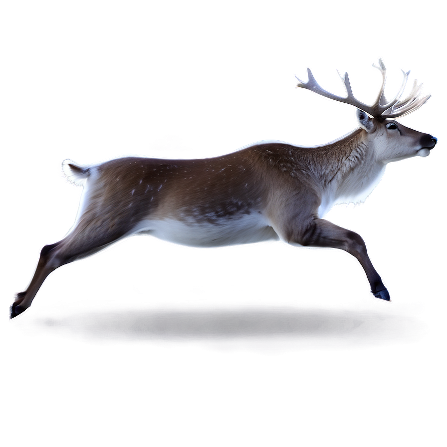 Reindeer In Snow Png 46