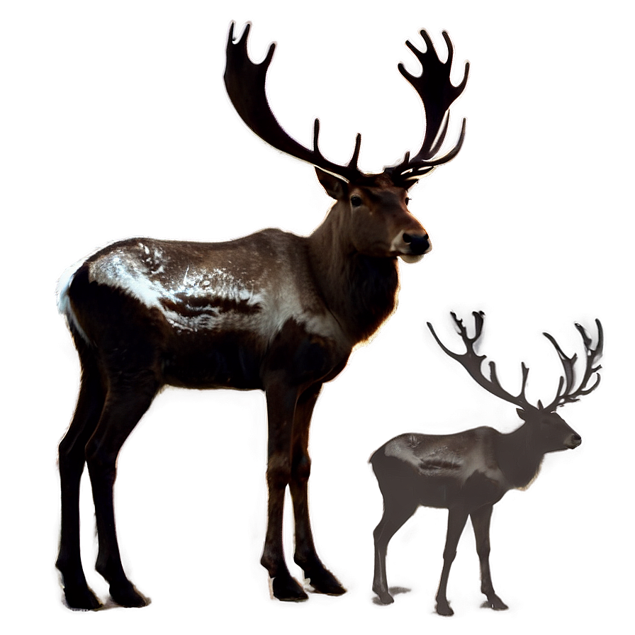 Reindeer Silhouette Png 05212024