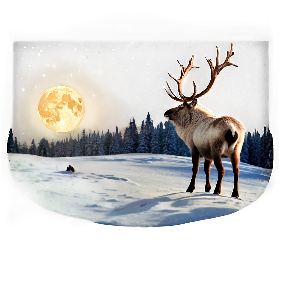 Reindeer Under Moonlight Png Mls18