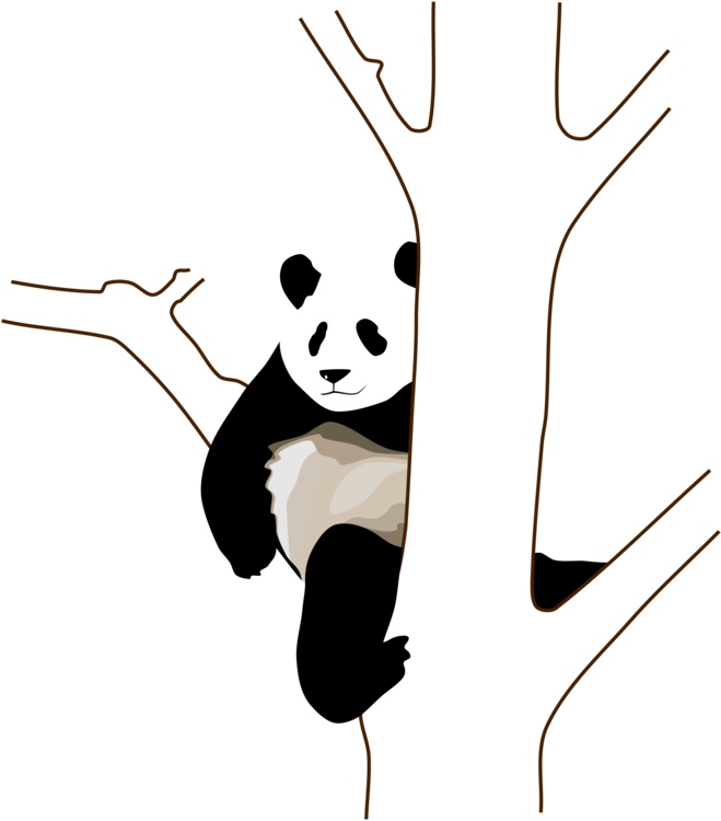 Relaxed Panda Clinging To Tree