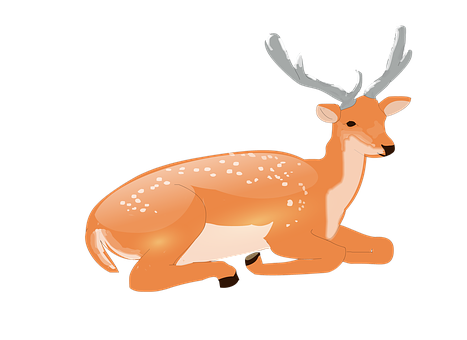 Resting Animated Deer