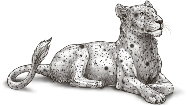 Resting Lioness Illustration
