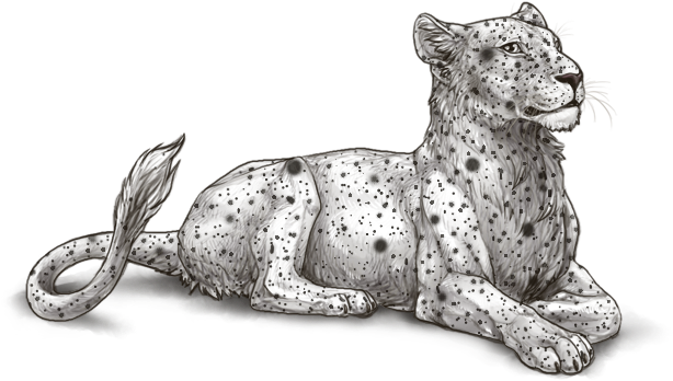 Resting Lioness Illustration.png