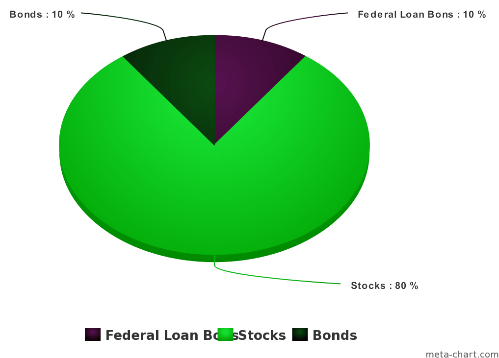 Retirement Investment Portfolio Distribution Pie Chart