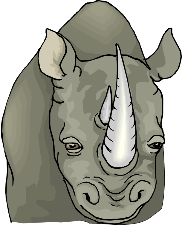 Rhinoceros Portrait Illustration