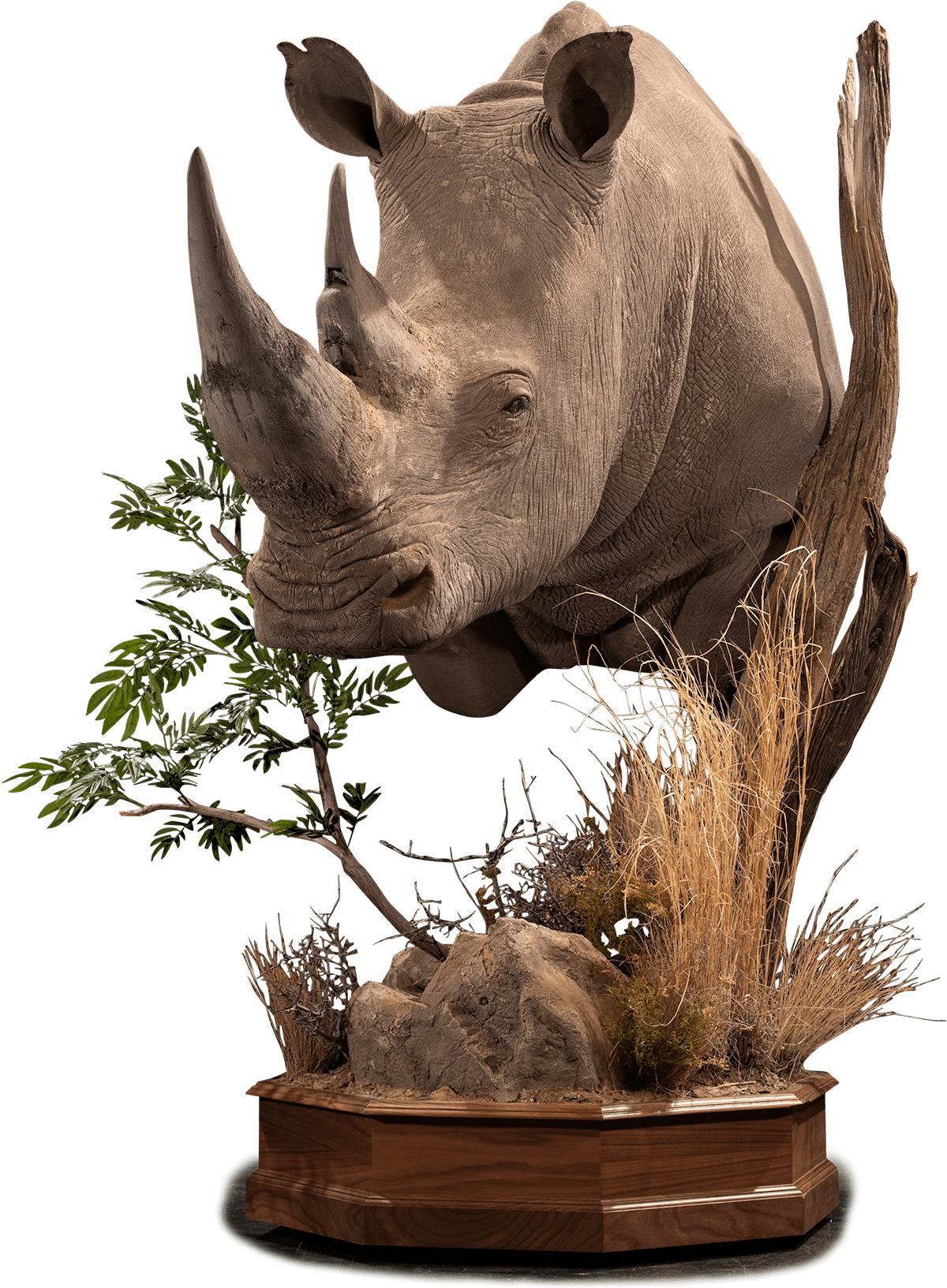 Rhinoceros Sculpture Art Piece