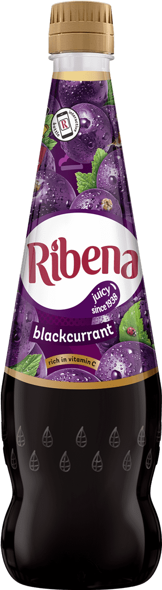 Ribena Blackcurrant Juice Bottle