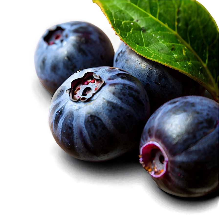 Ripe Blueberries Png 38