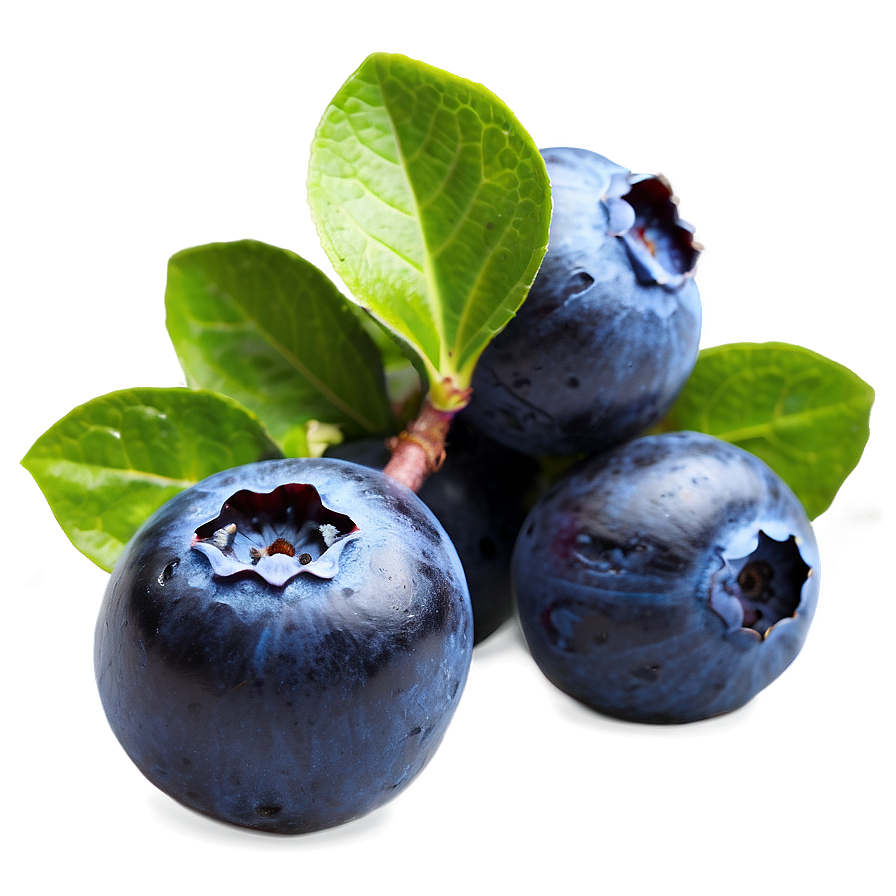 Ripe Blueberries Png Wun69