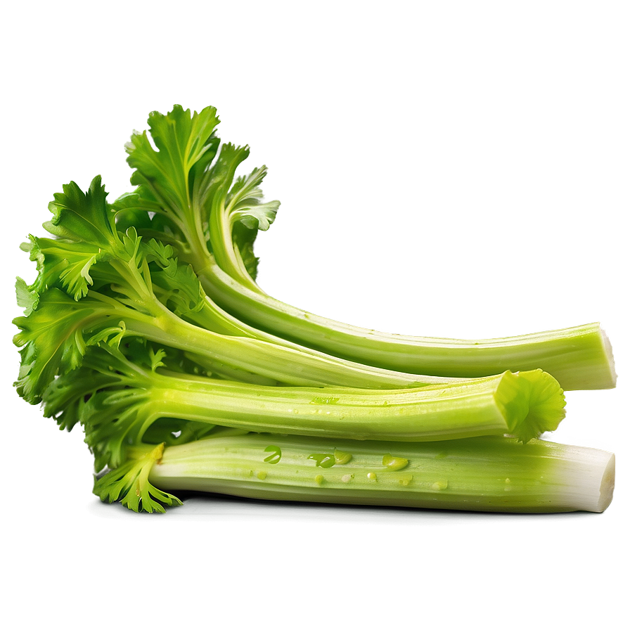 Ripe Celery Png 06252024