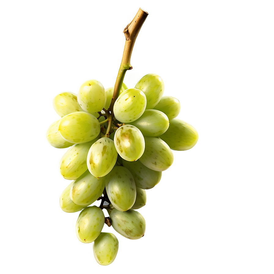 Ripe Grape Bunch Png Jmx56