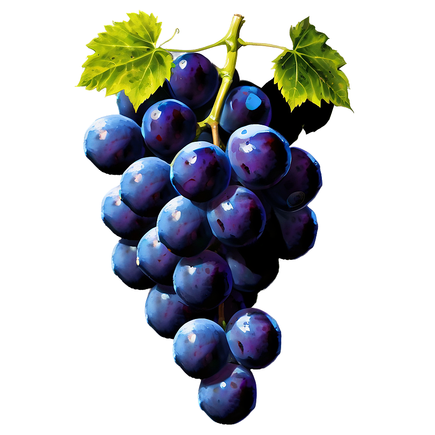 Ripe Grape Bunch Png Nch