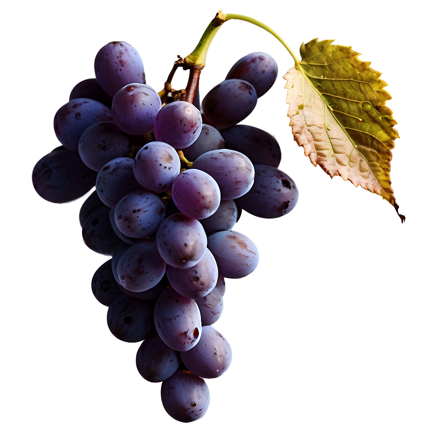 Ripe Grape Bunch Png Wcb