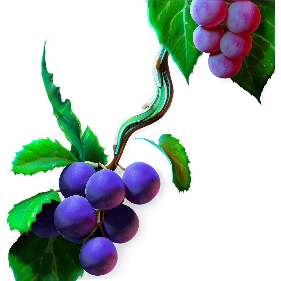 Ripe Grapeson Vine
