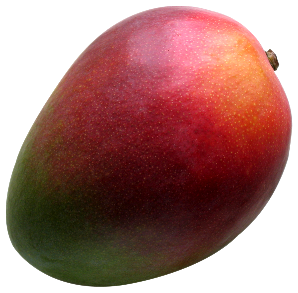 Ripe Mango Fruit Isolated