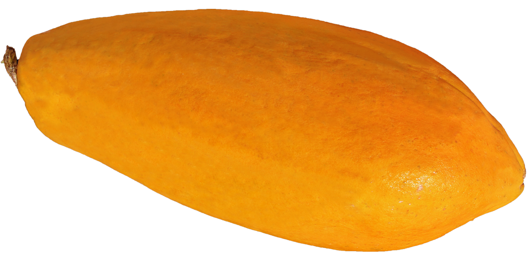 Ripe Mango Isolatedon Blue Background