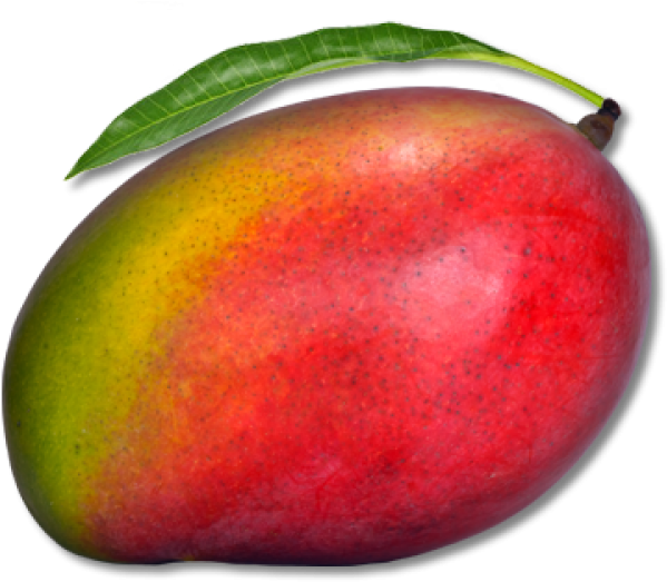 Ripe Mango With Leaf