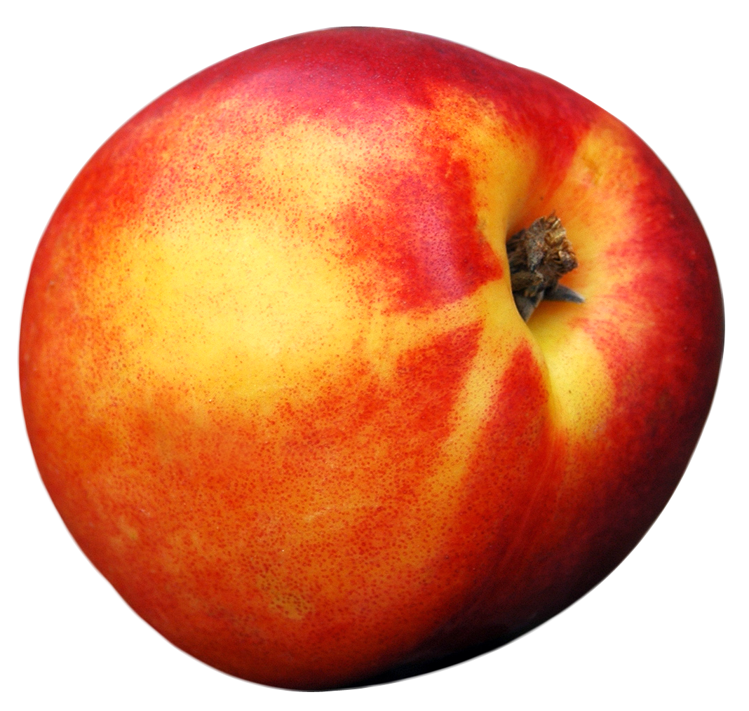 Ripe Peach Isolated Background