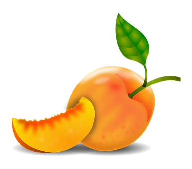 Ripe Peach With Slice Illustration