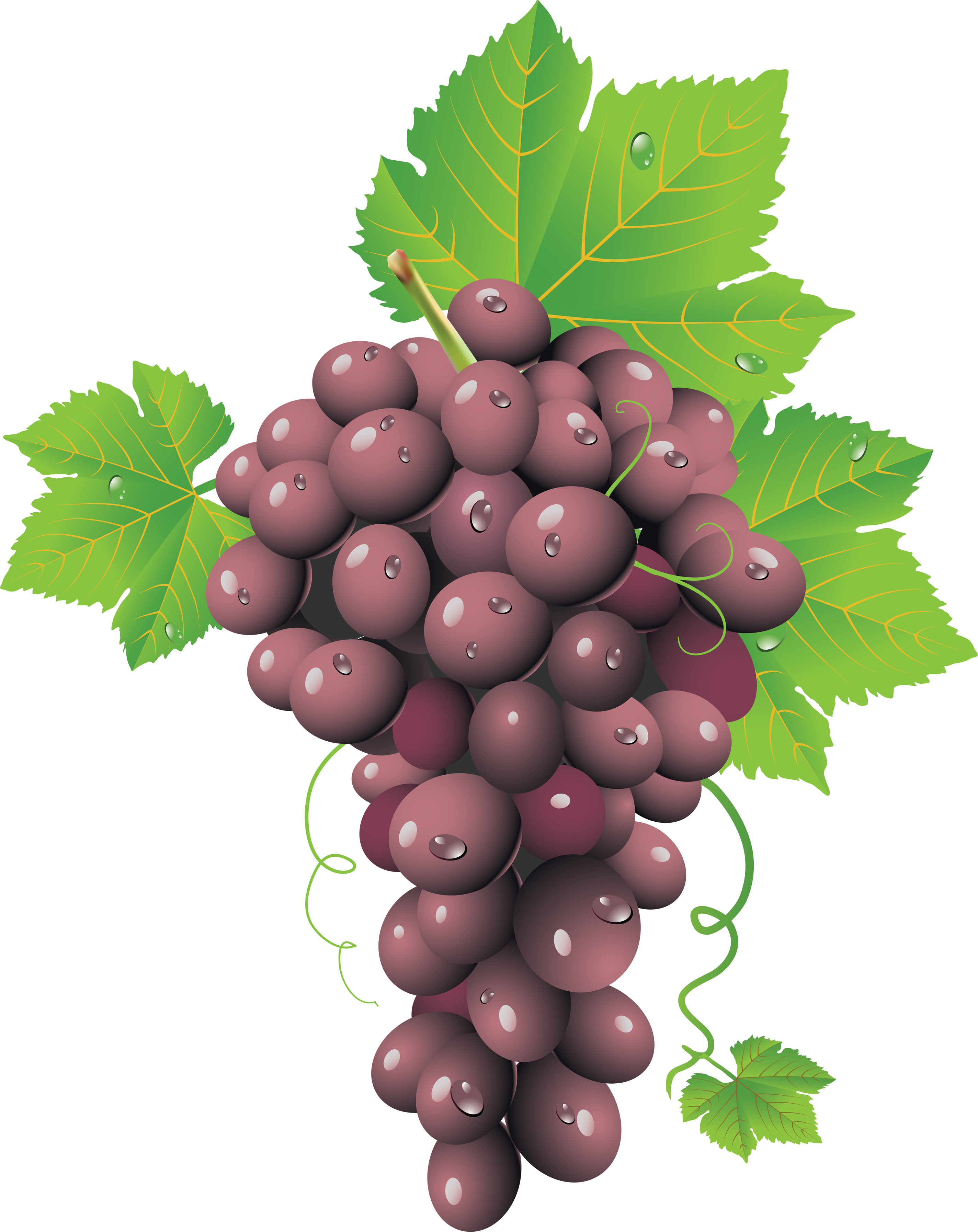 Ripe Red Grape Cluster.png