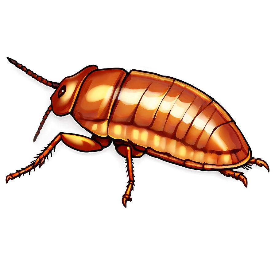 Roach Icon Png 05242024