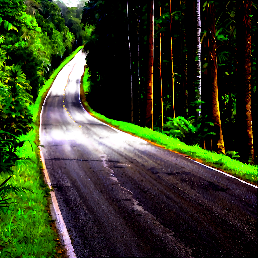 Road In Forest Png 31
