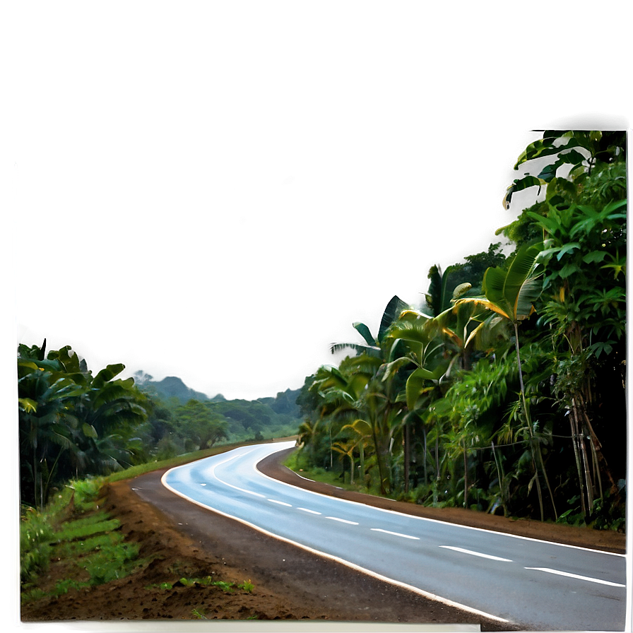 Road In Rainforest Png Jhe81