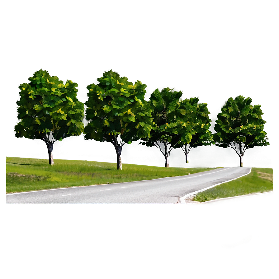 Road With Trees Png Hwu