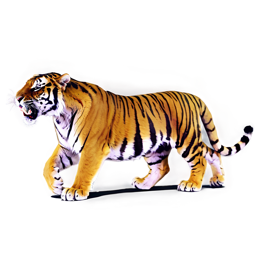 Roaring Tiger Png Ois