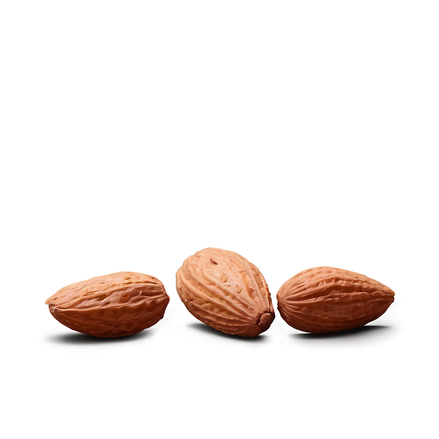 Roasted Almond Png 77