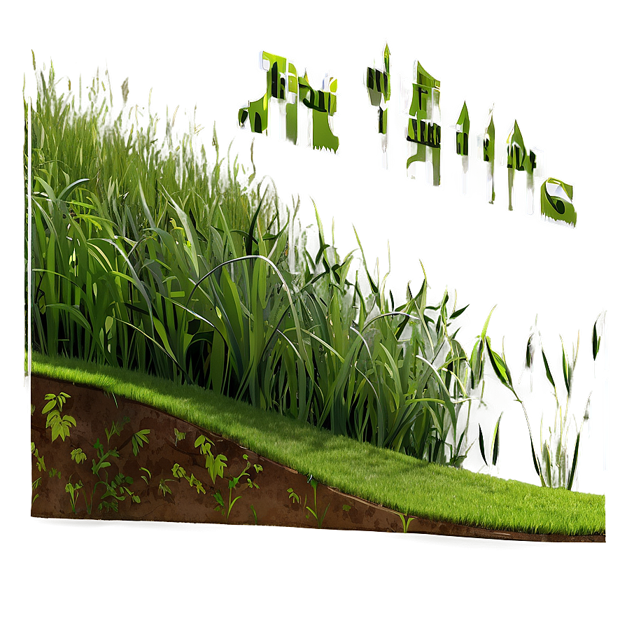 Rolling Hills Grass Png Gax