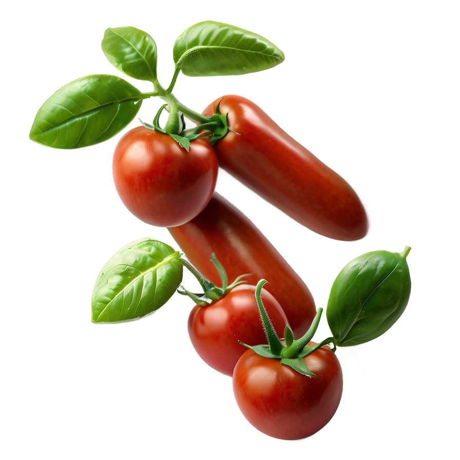 Roma Tomatoes Png 55