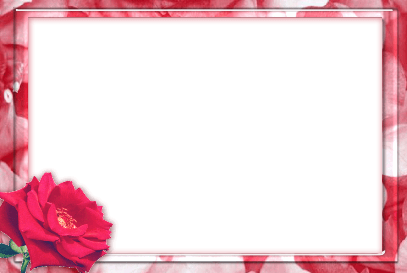 Romantic Red Rose Love Frame.png