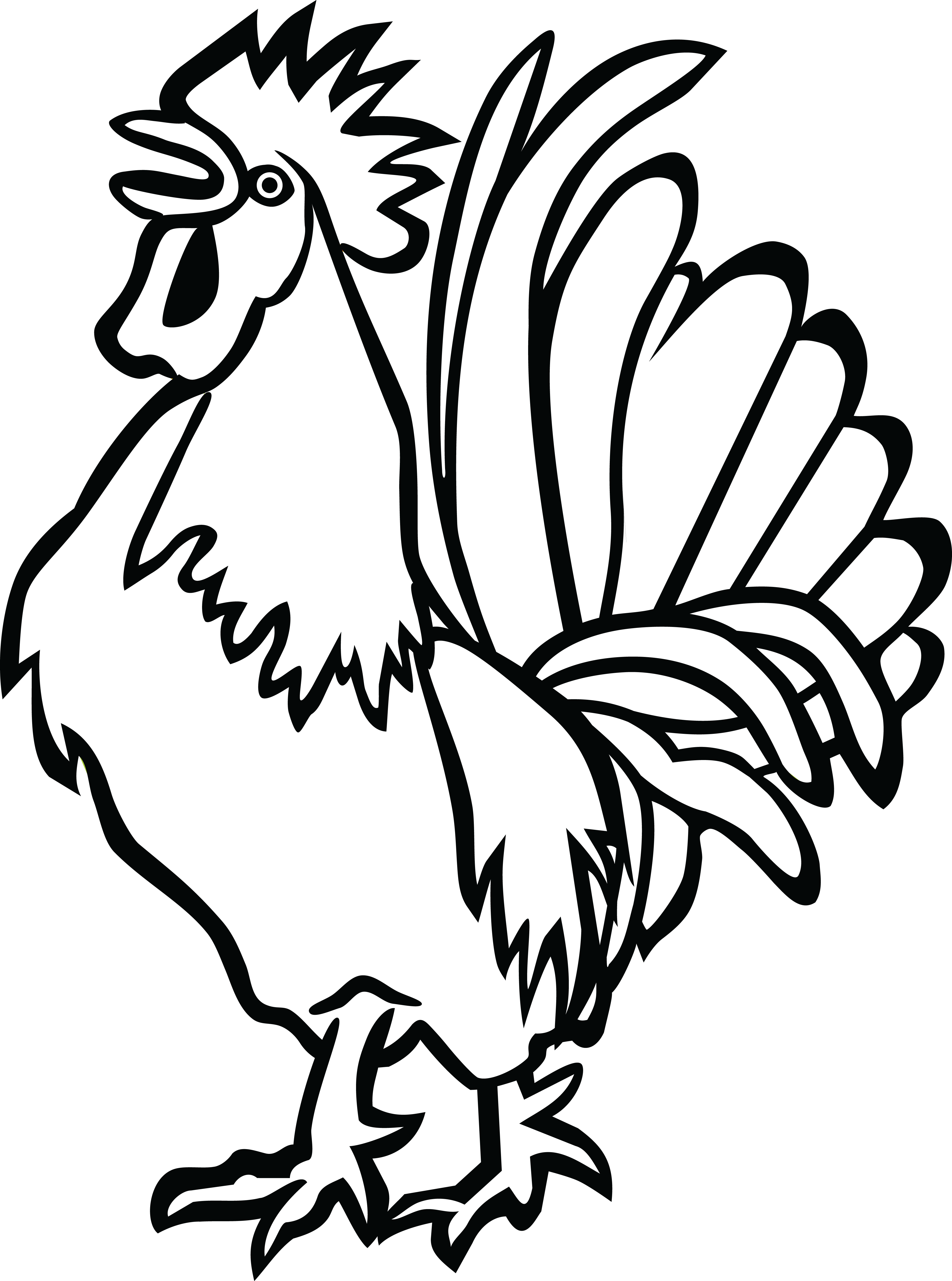 Rooster Outline Vector Illustration