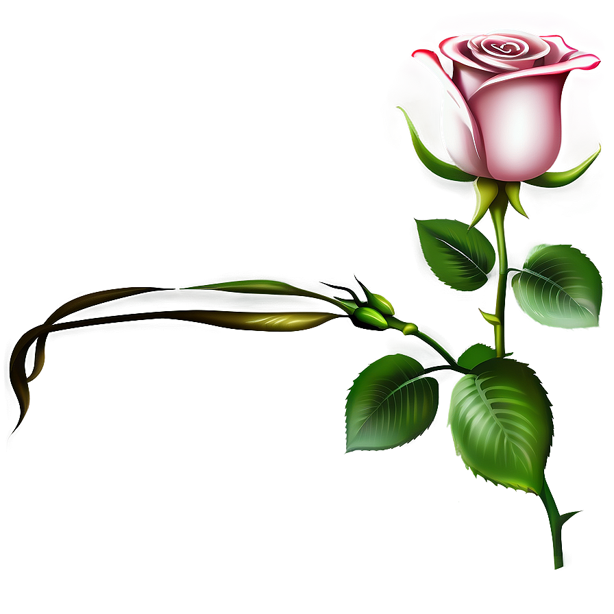 Rose Flower Transparent Png Quc