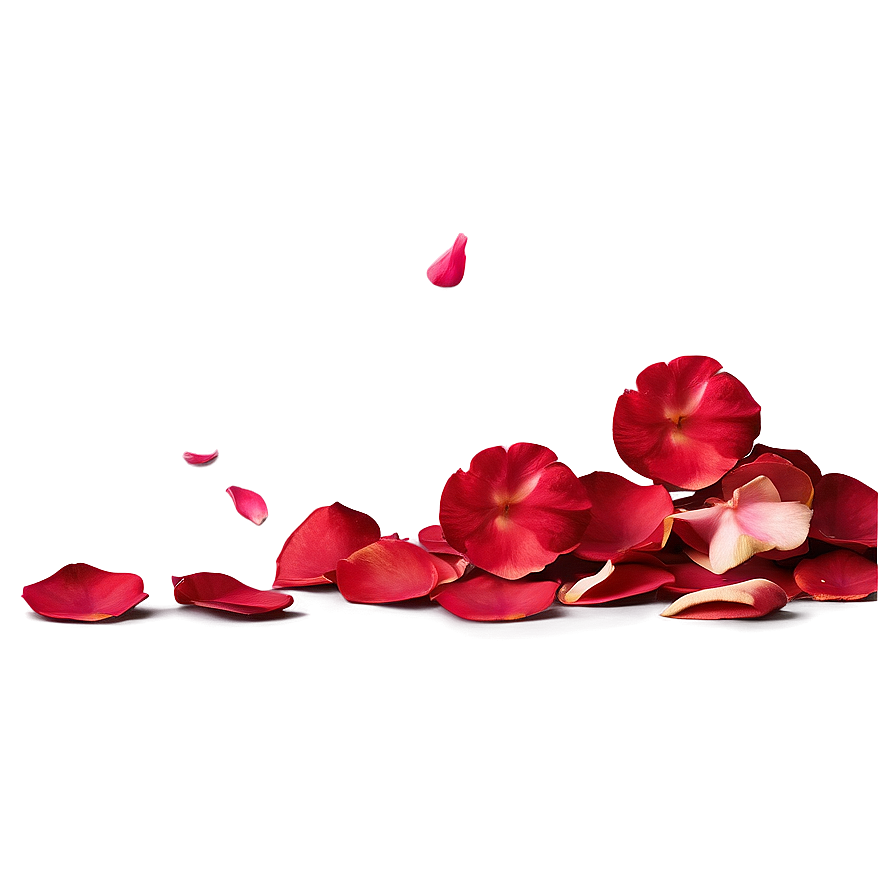 Rose Petals On Floor Png Tdg4