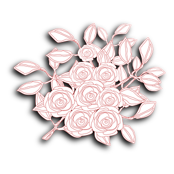 Rose_ Sketch_ Outline_ Vector